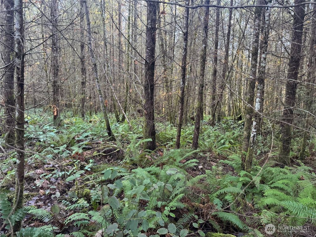 Photo of 233 Shy Bear Road, Toutle, WA 98649 (MLS # 2466510)