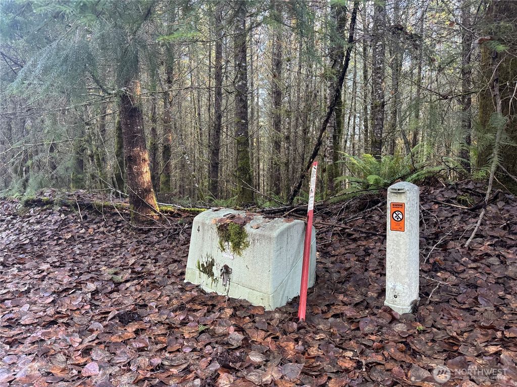 Photo of 233 Shy Bear Road, Toutle, WA 98649 (MLS # 2466510)