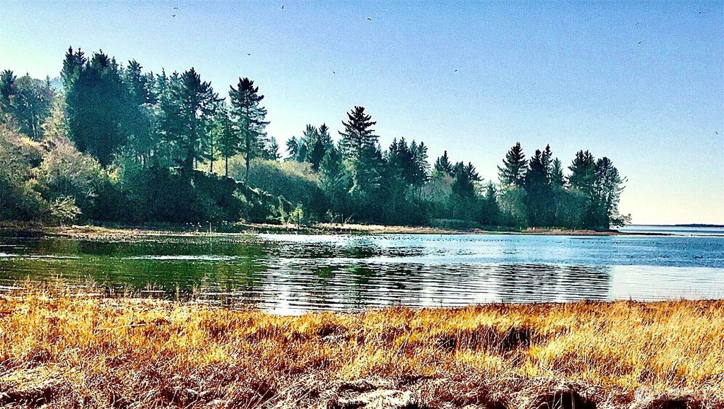 Photo of 1 Lot Wilson Point, South Bend, WA 98586 (MLS # 2479349)