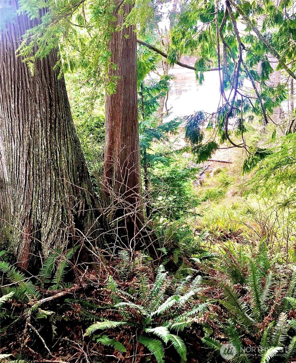 Photo of 1 Lot Wilson Point, South Bend, WA 98586 (MLS # 2479349)