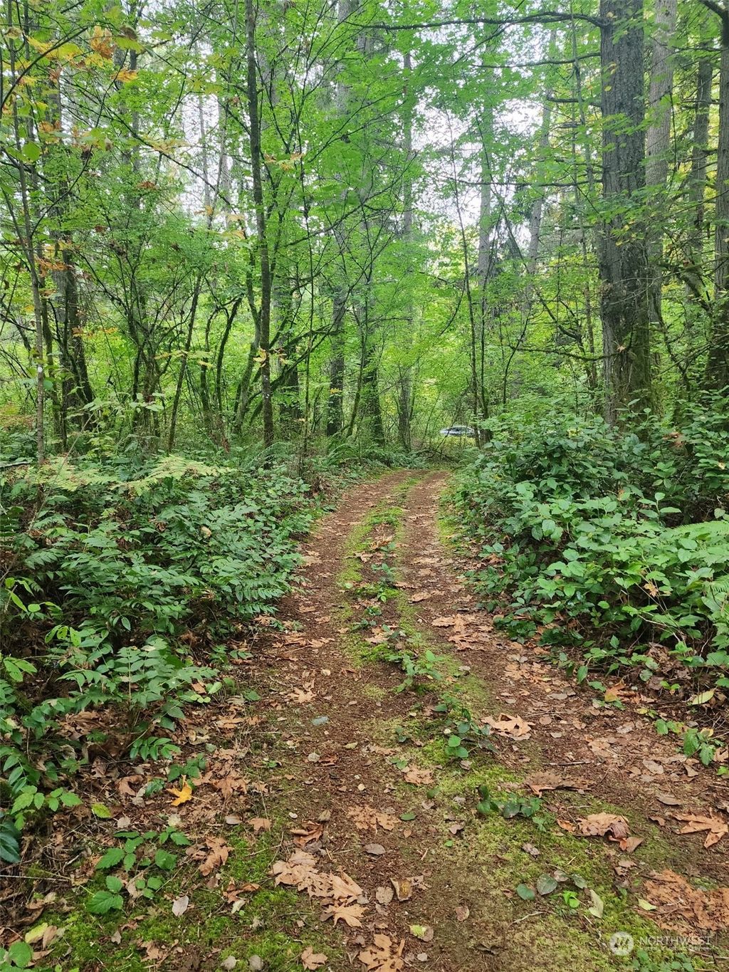 Photo of 178 XX SE Jones Road, Renton, WA 98058 (MLS # 2293714)