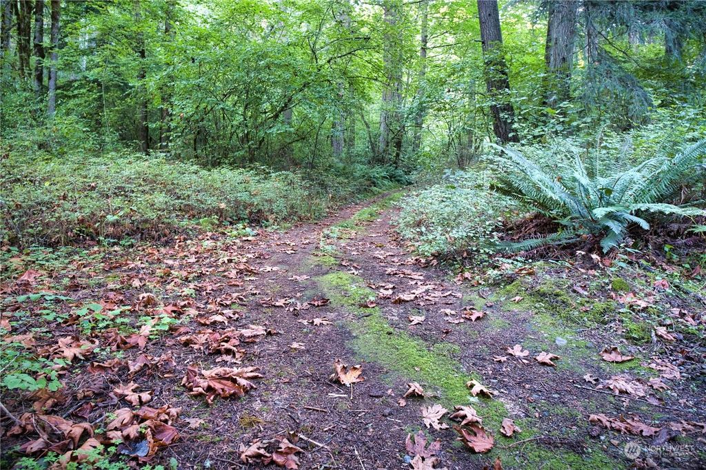 Photo of 178 XX SE Jones Road, Renton, WA 98058 (MLS # 2293714)