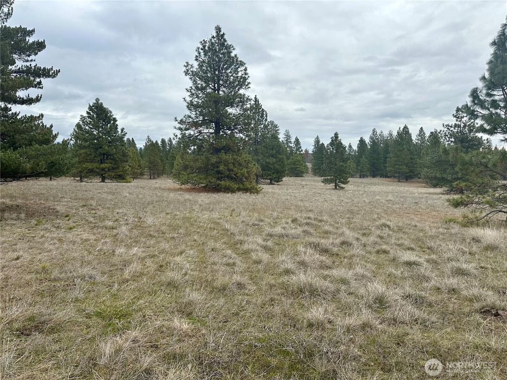 Photo of 72 Winlock Road, Goldendale, WA 98620 (MLS # 2482687)