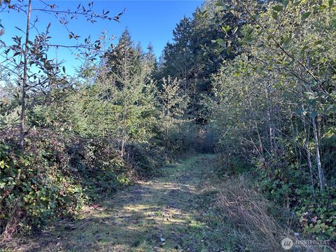 0 Mt Brynion Road Kelso WA 98626