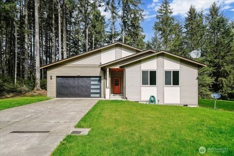 Photo of 11714 Lake Place, Anderson Island, WA 98303 (MLS # 2517485)