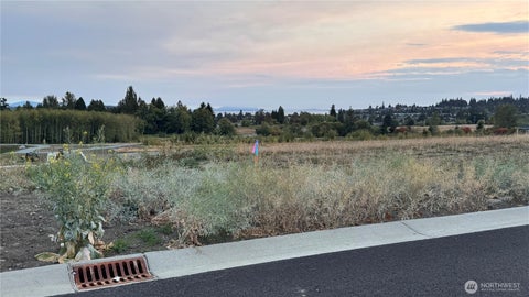 Photo of 0 Oxalis Drive #Lot 51, Blaine, WA 98230 (MLS # 2586892)