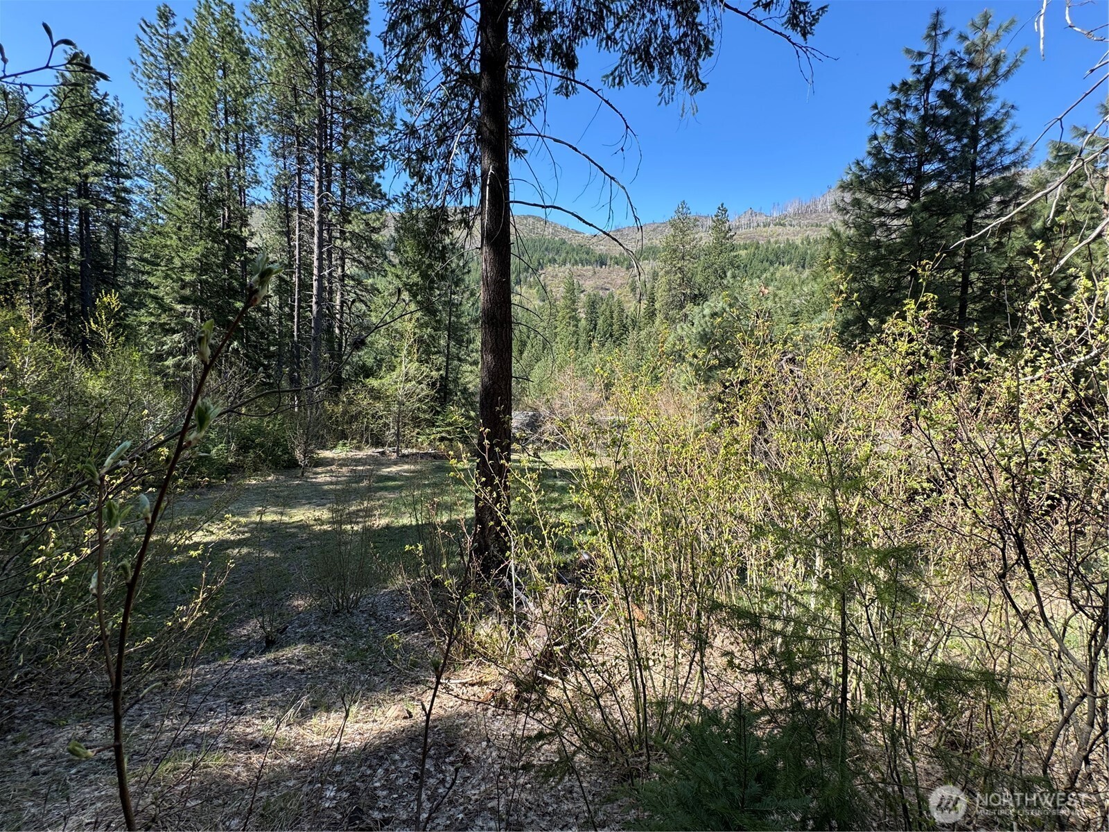 Lake Wenatchee, Washington 98826, United States, ,Land,Active,17265