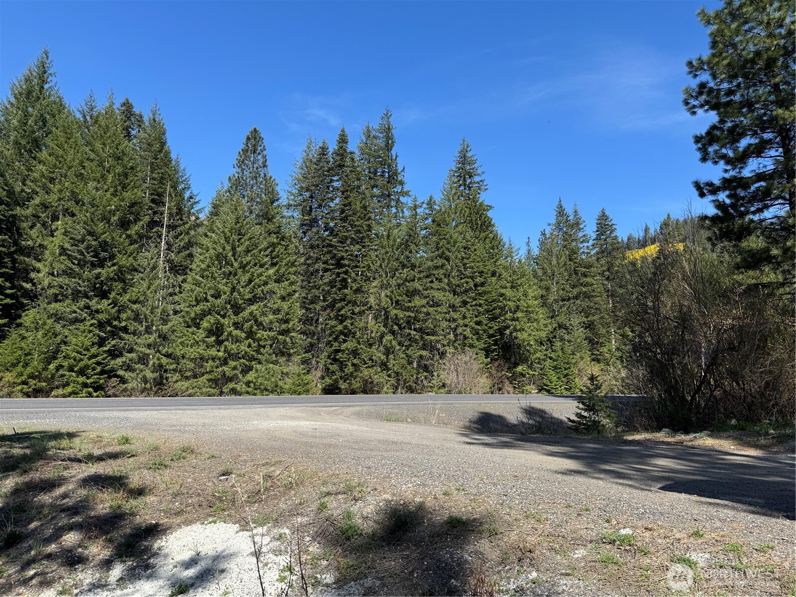 Lake Wenatchee, Washington 98826, United States, ,Land,Active,17265