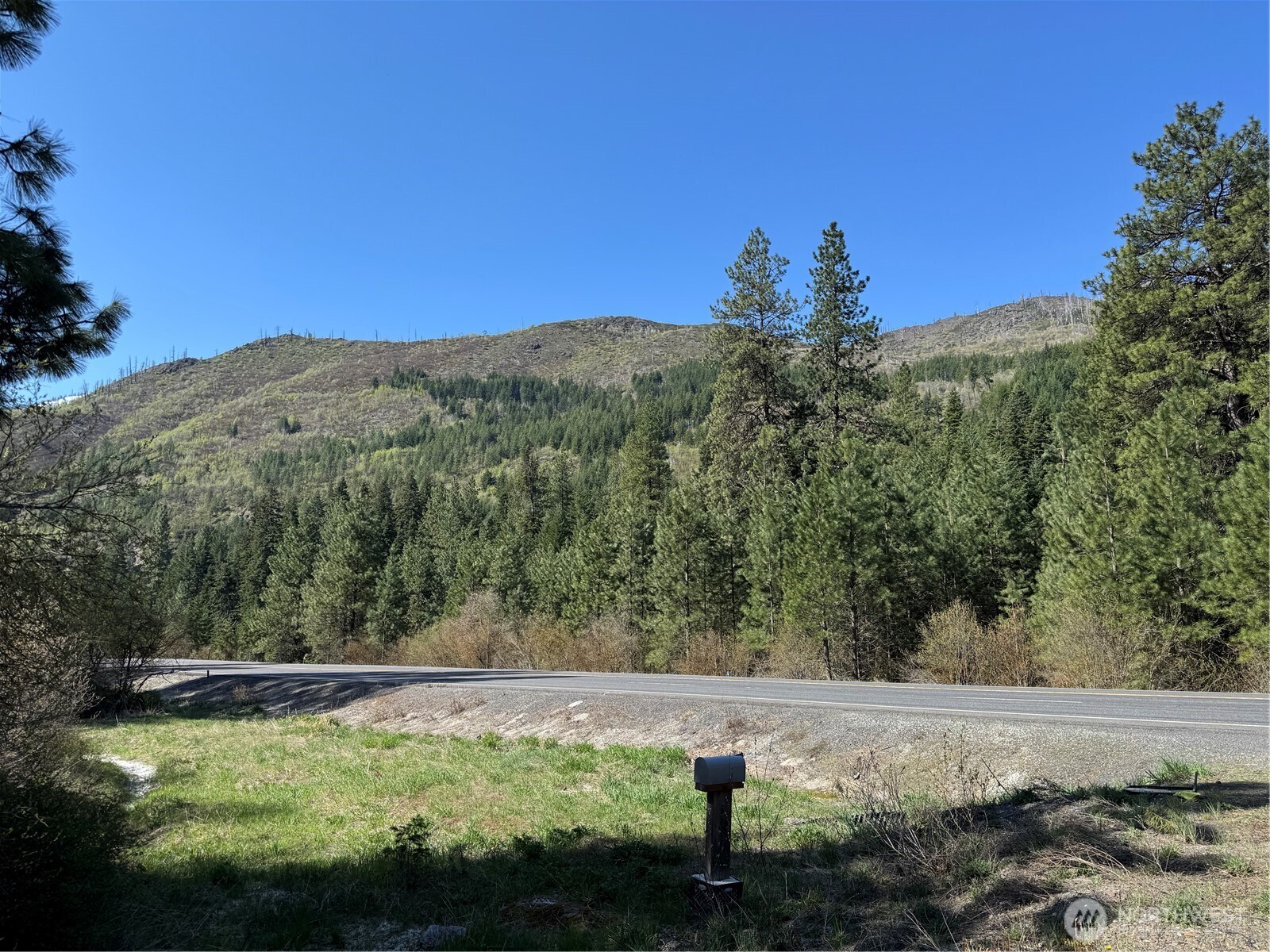 Lake Wenatchee, Washington 98826, United States, ,Land,Active,17265