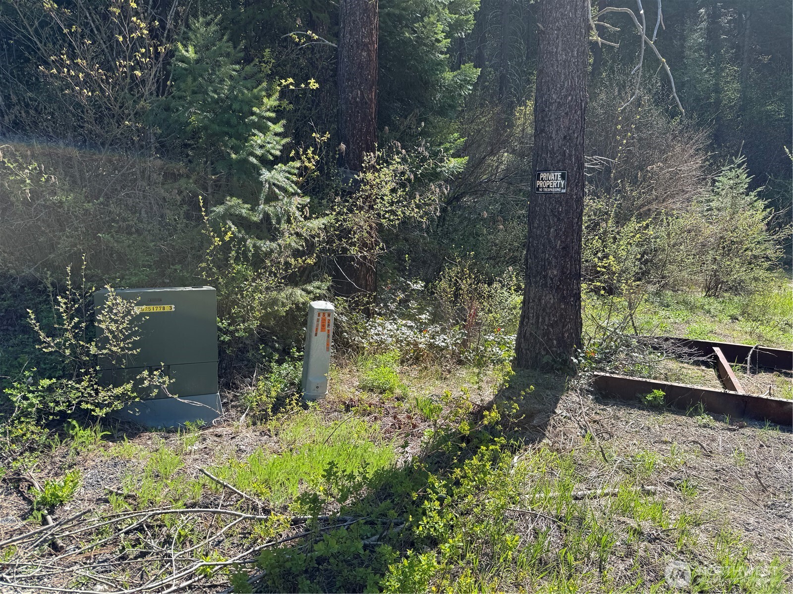 Lake Wenatchee, Washington 98826, United States, ,Land,Active,17265