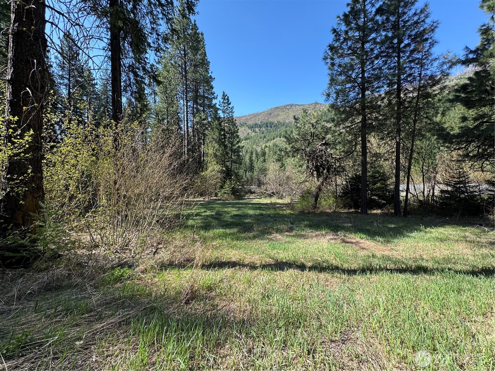 Lake Wenatchee, Washington 98826, United States, ,Land,Active,17265