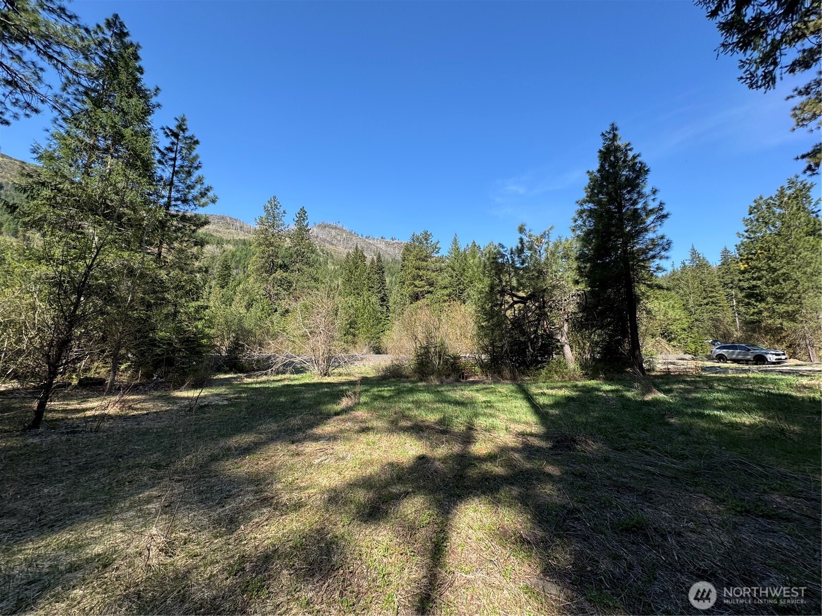 Lake Wenatchee, Washington 98826, United States, ,Land,Active,17265