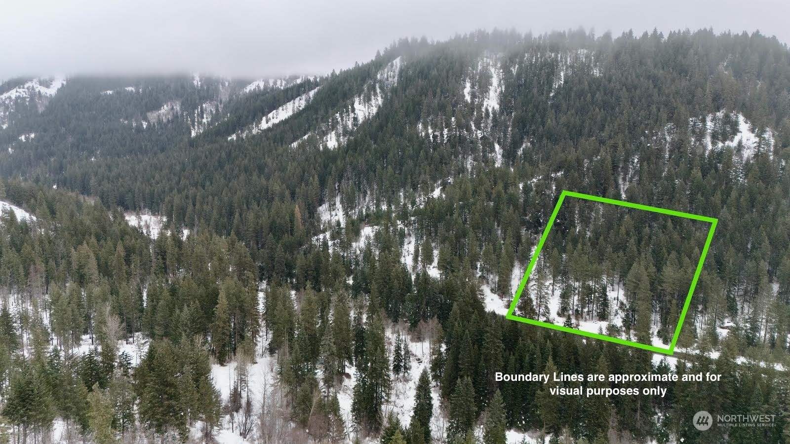 Lake Wenatchee, Washington 98826, United States, ,Land,Active,17265