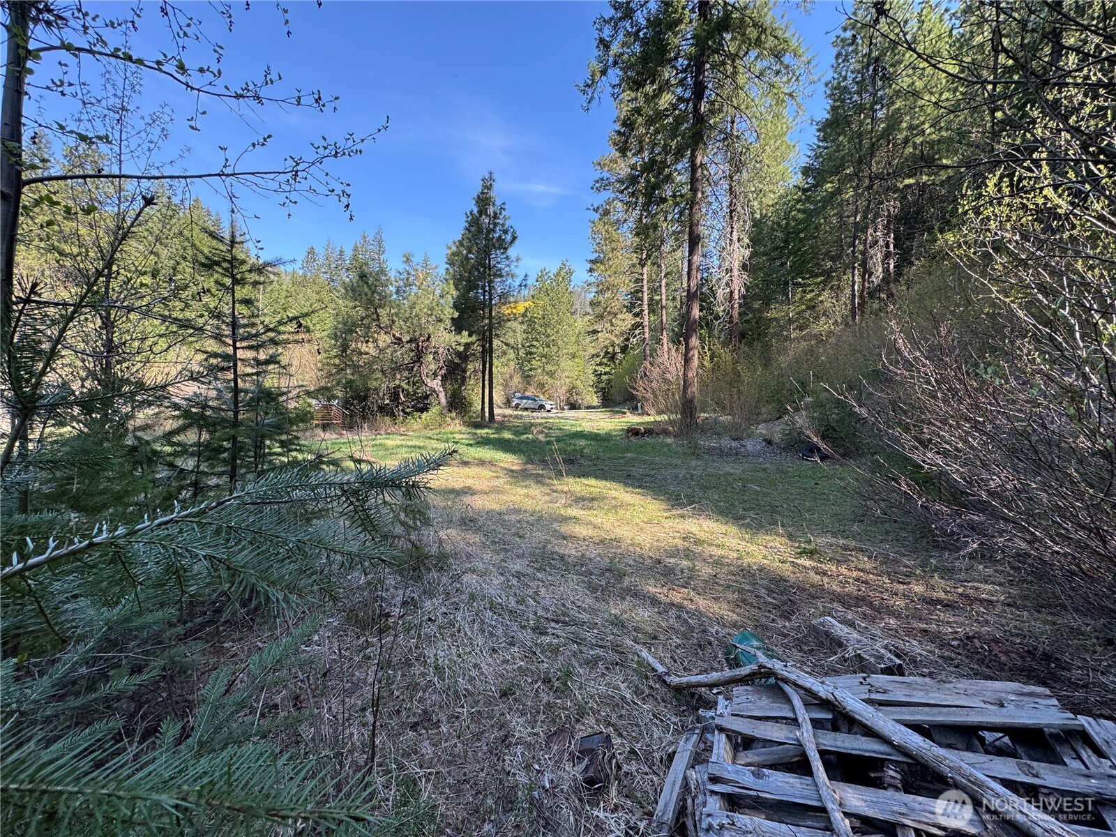 Lake Wenatchee, Washington 98826, United States, ,Land,Active,17265