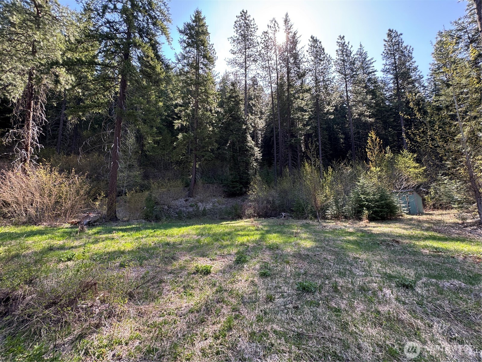 Lake Wenatchee, Washington 98826, United States, ,Land,Active,17265