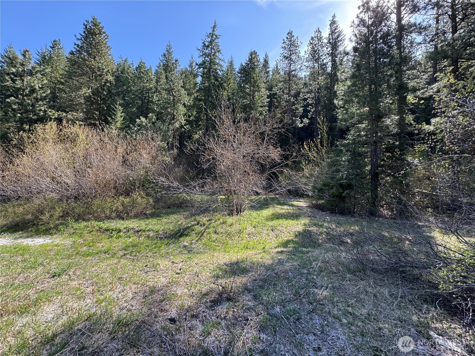 Lake Wenatchee, Washington 98826, United States, ,Land,Active,17265