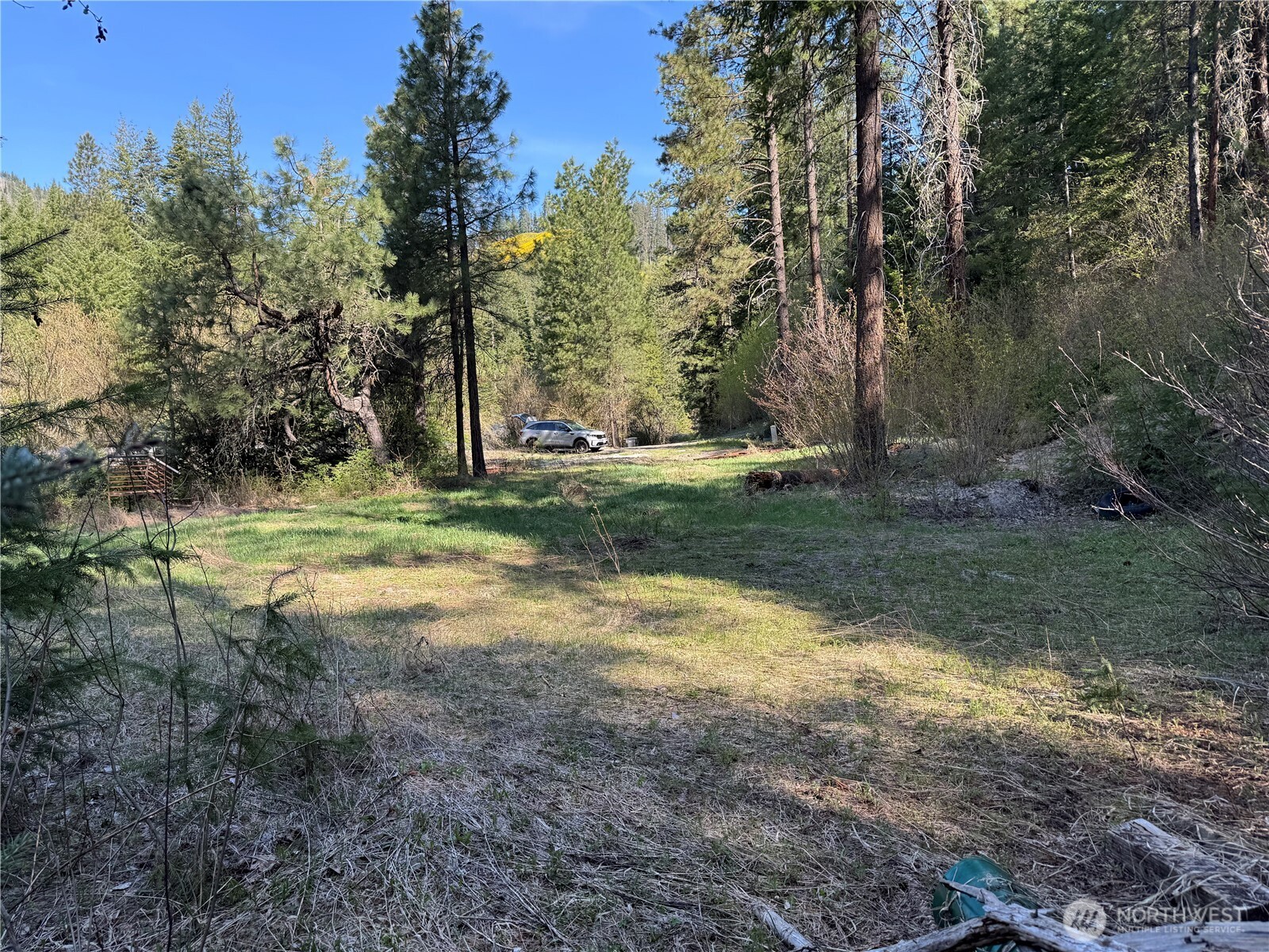 Lake Wenatchee, Washington 98826, United States, ,Land,Active,17265