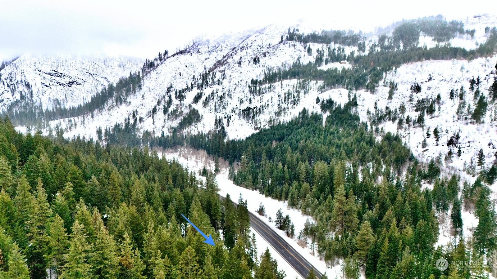 Lake Wenatchee, Washington 98826, United States, ,Land,Active,17265