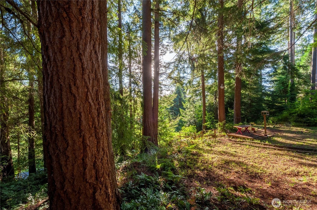 Photo of 1265 Island Drive, Lummi Island, WA 98262 (MLS # 2577896)