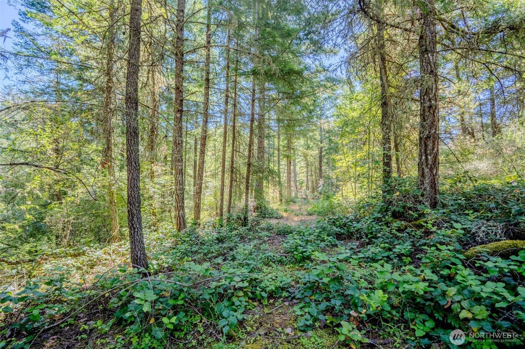 Photo of 678 Swan Road, Orcas Island, WA 98245 (MLS # 2553354)