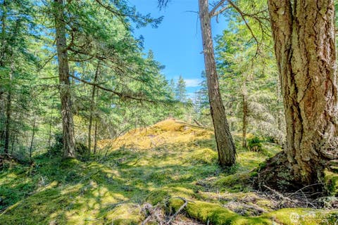Photo of 678 Swan Road, Orcas Island, WA 98245 (MLS # 2553354)