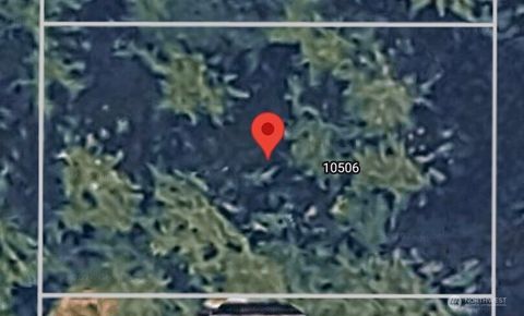 Photo of 10506 Tahoma Dr Drive, Anderson Island, WA 98303 (MLS # 2502394)