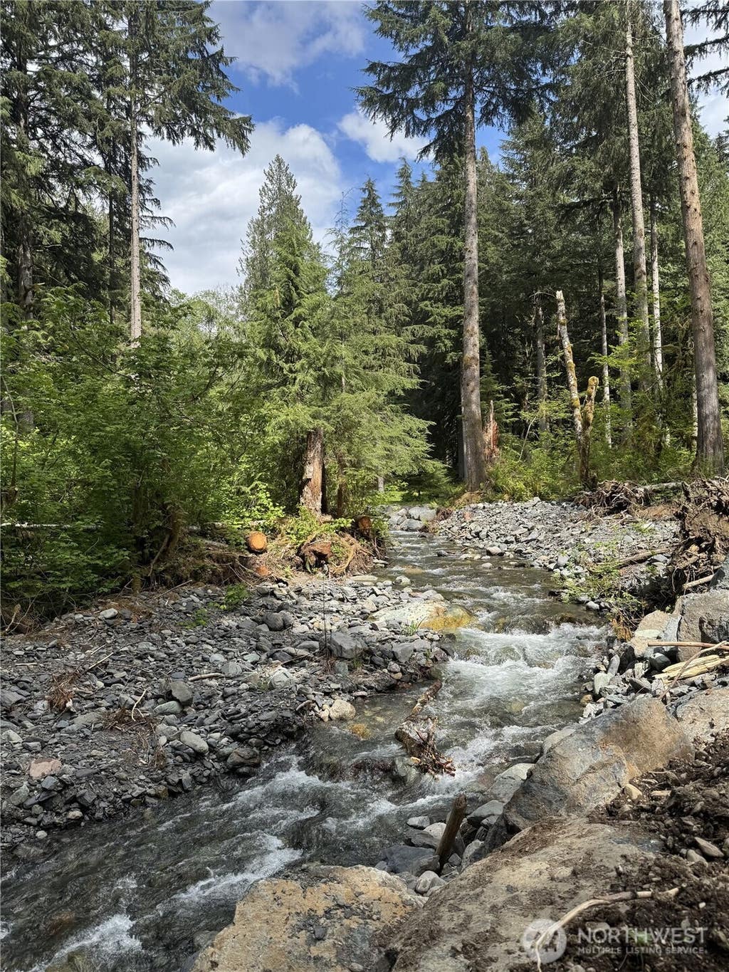 Photo of 10707 Thompson Creek Road, Deming, WA 98244 (MLS # 2547478)