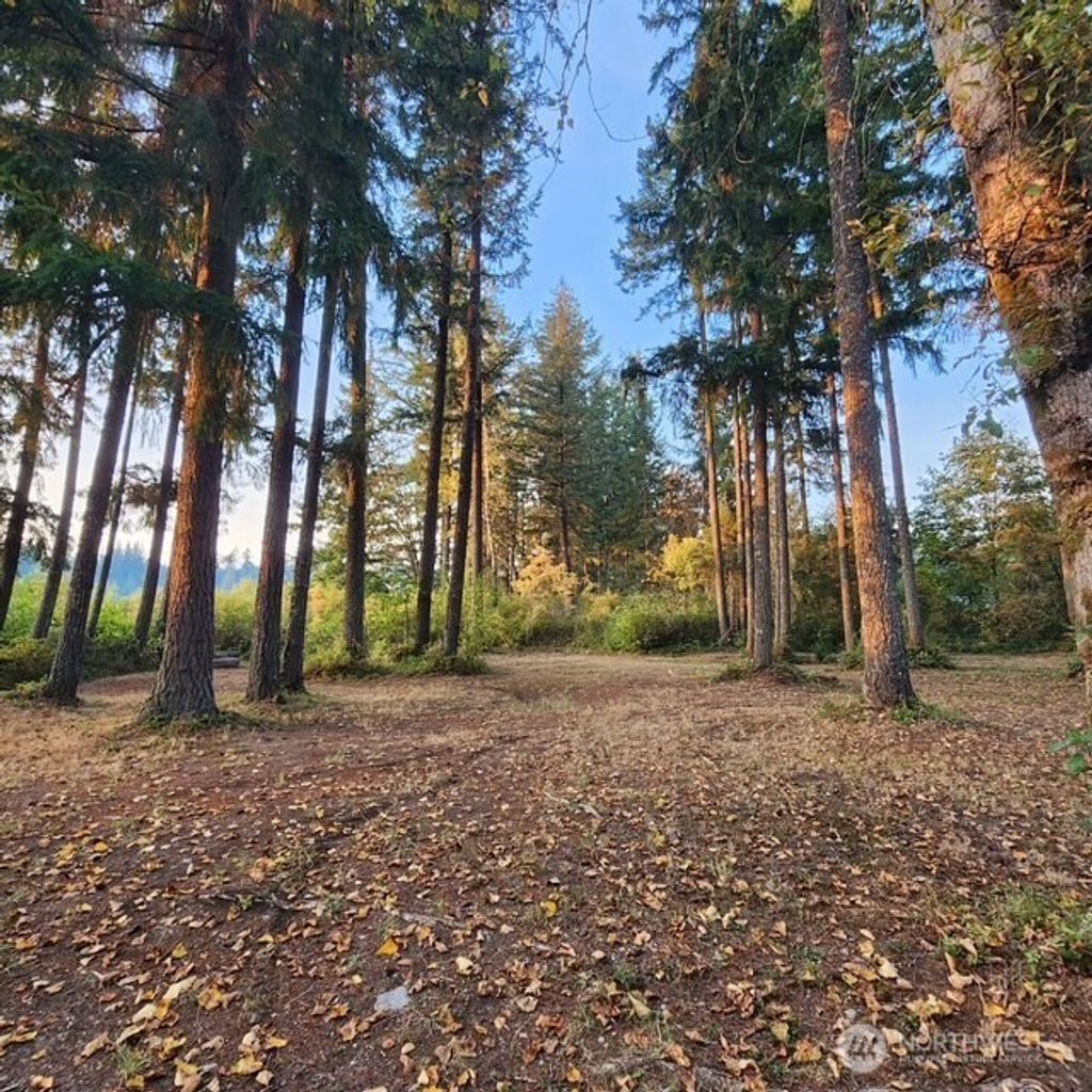 Photo of 8744 Colony Lane SE, Tenino, WA 98589 (MLS # 2483818)