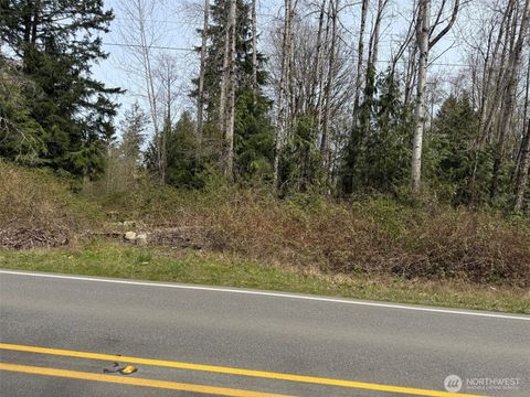 Photo of 142 XX Kayak Point Road, Stanwood, WA 98292 (MLS # 2500991)