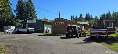 Photo of 742 Elma McCleary Road, McCleary, WA 98557 (MLS # 2441024)