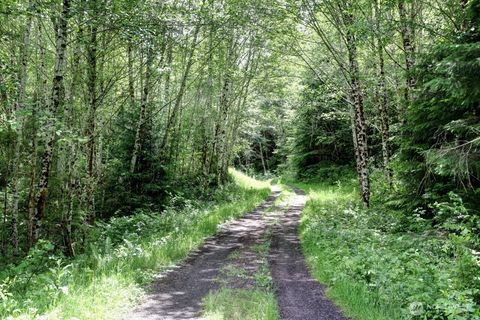 Photo of 0 Parpala Road, Naselle, WA 98638 (MLS # 2478520)