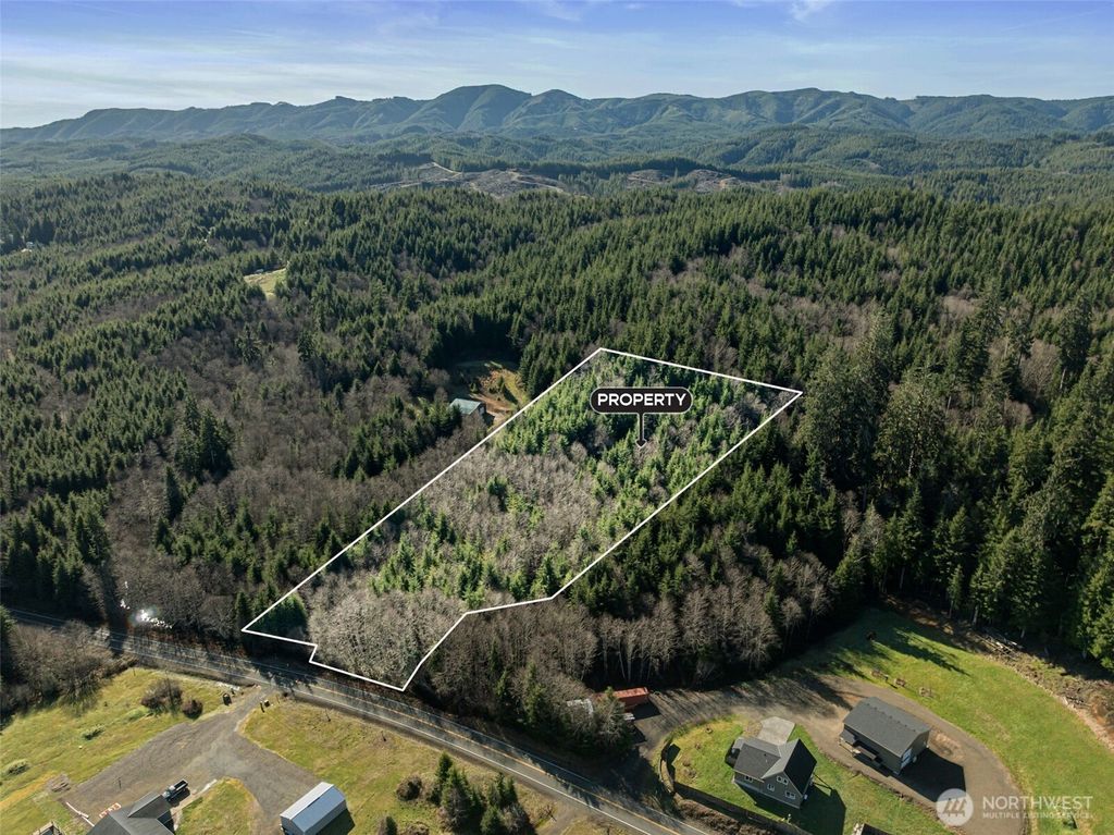 Photo of 0 Parpala Road, Naselle, WA 98638 (MLS # 2478520)