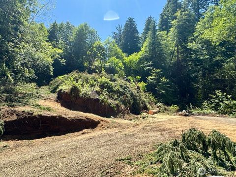 Photo of 513 5th Avenue, Aberdeen, WA 98520 (MLS # 2436813)