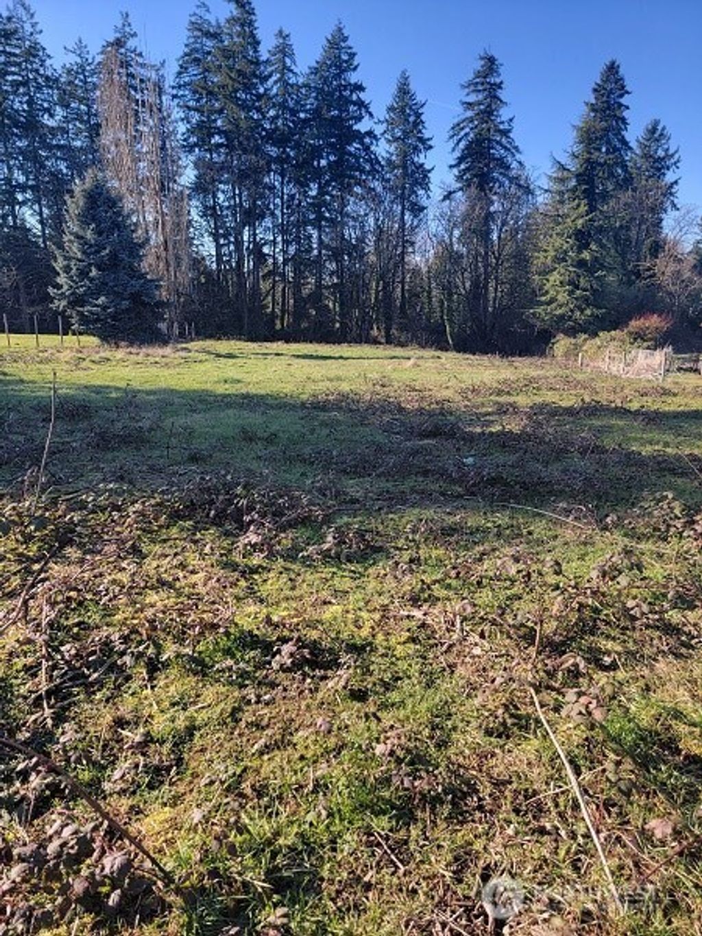Photo of 229 xx 100th Ave S, Kent, WA 98031 (MLS # 2469452)