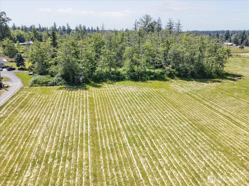 Photo of 2020 163rd Street NW, Arlington, WA 98292 (MLS # 2388302)