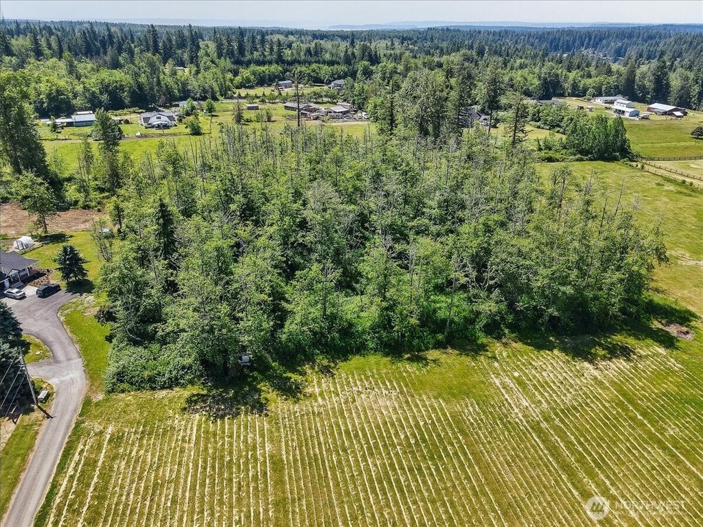 Photo of 2020 163rd Street NW, Arlington, WA 98292 (MLS # 2388302)