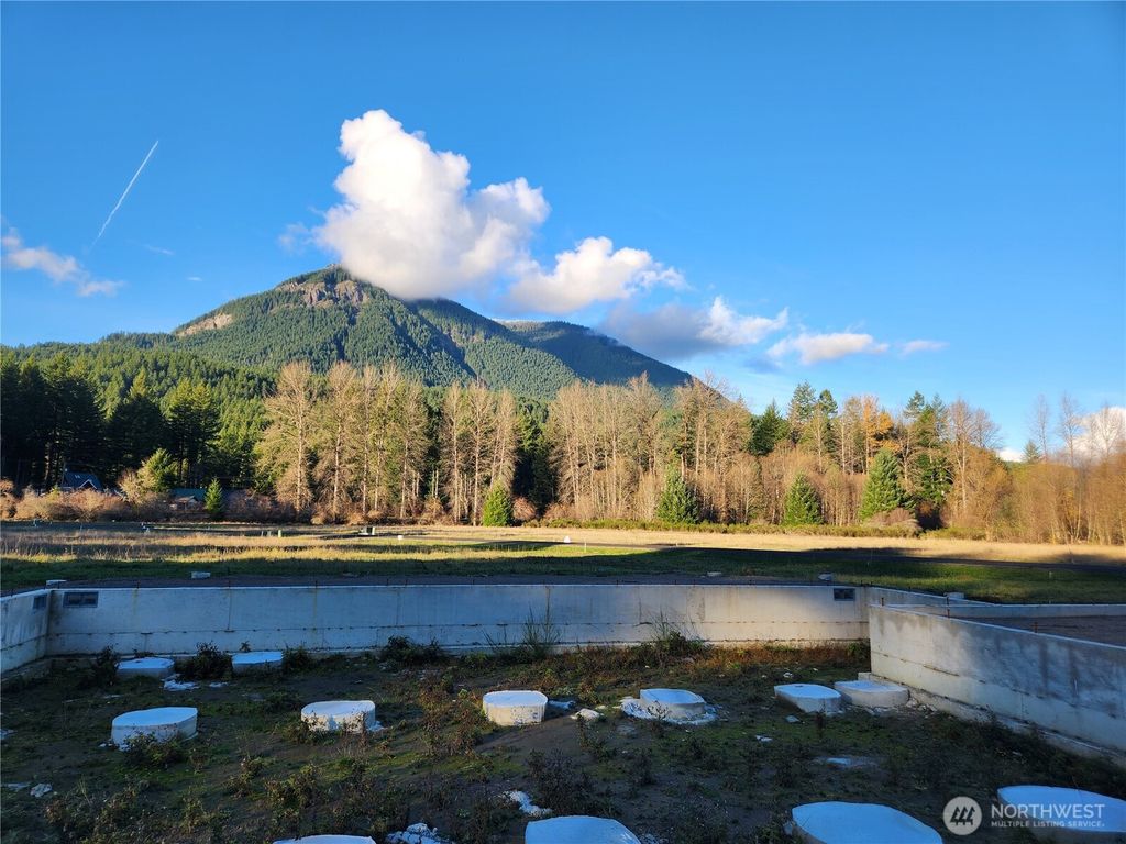 Photo of 111 Campfire Lane, Packwood, WA 98361 (MLS # 2458624)
