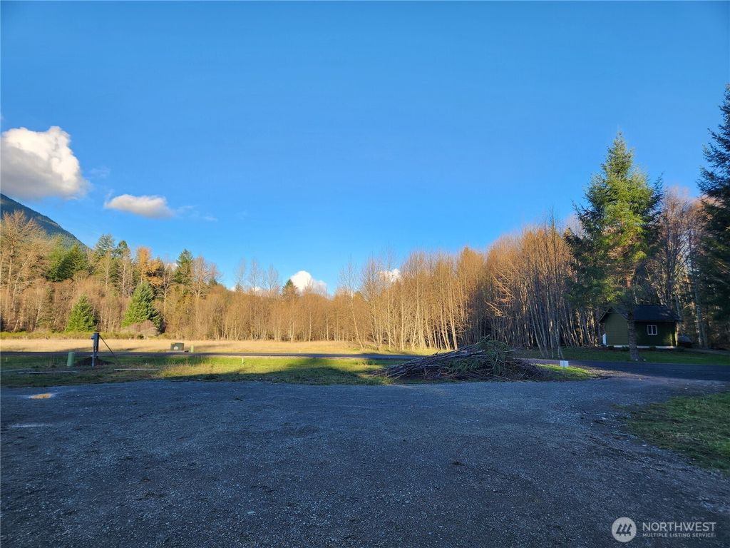 Photo of 111 Campfire Lane, Packwood, WA 98361 (MLS # 2458624)