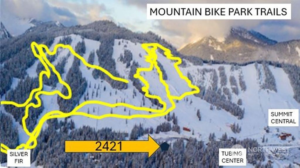 Photo of 2421 State Route 906, Snoqualmie Pass, WA 98068 (MLS # 2234998)