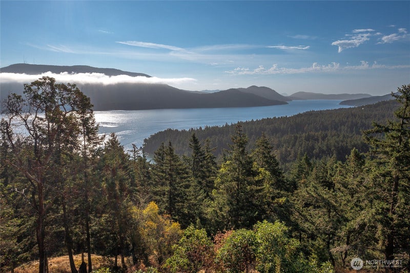 404 Lookout Loop