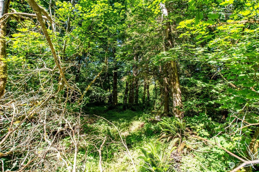 Photo of 9834 351st Avenue SE, Snoqualmie, WA 98065 (MLS # 2135091)