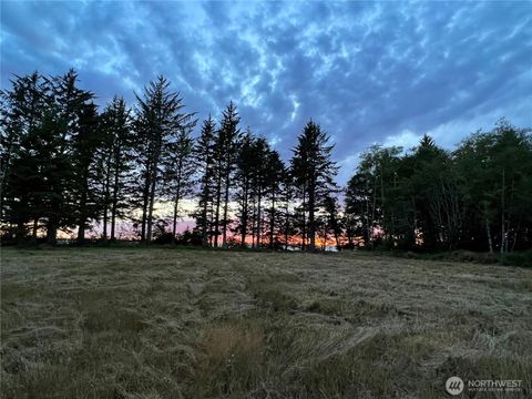 Photo of 63 Ranta Road, Bay Center, WA 98527 (MLS # 2323955)