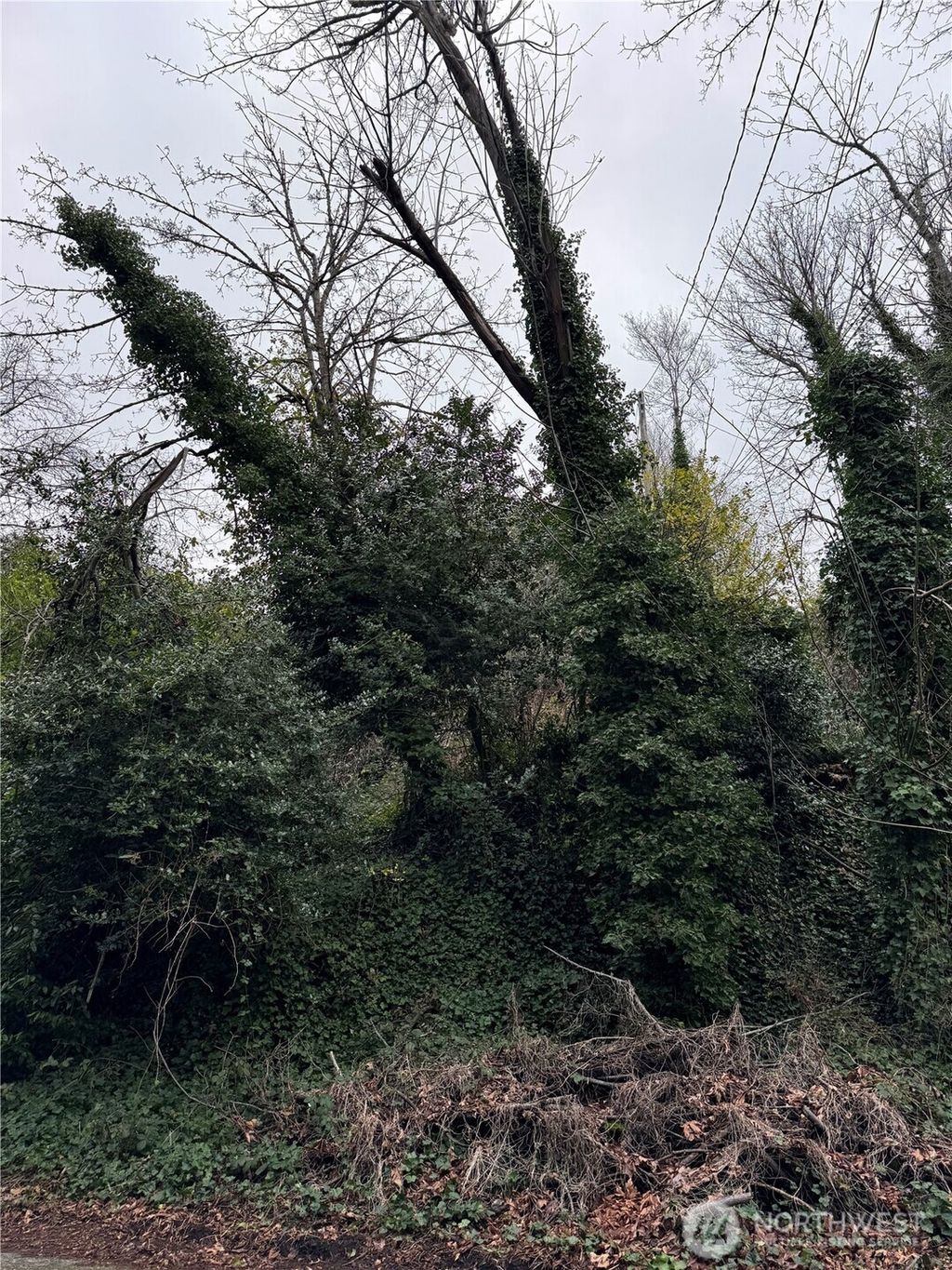 Photo of 19 XX 32nd Avenue W, Seattle, WA 98199 (MLS # 2485194)