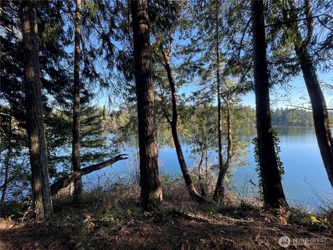 Photo of 17812 Clear Lake Boulevard SE, Yelm, WA 98597 (MLS # 2469653)