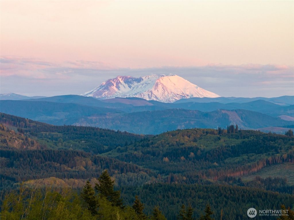 Photo of 310 Dream View Lane, Cinebar, WA 98533 (MLS # 2519476)