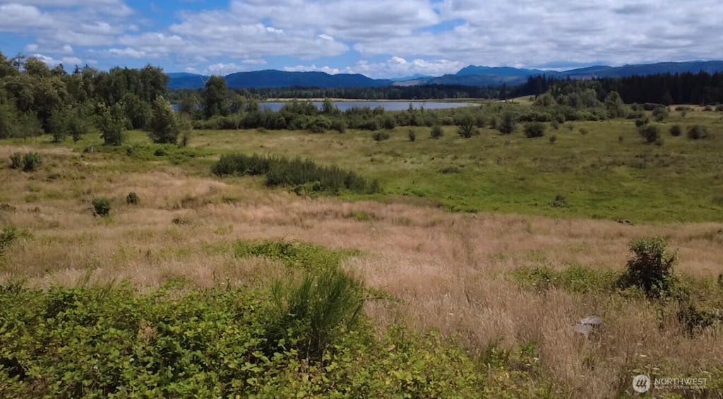 Photo of 40317 Dean Kreger Road E, Eatonville, WA 98328 (MLS # 2557178)