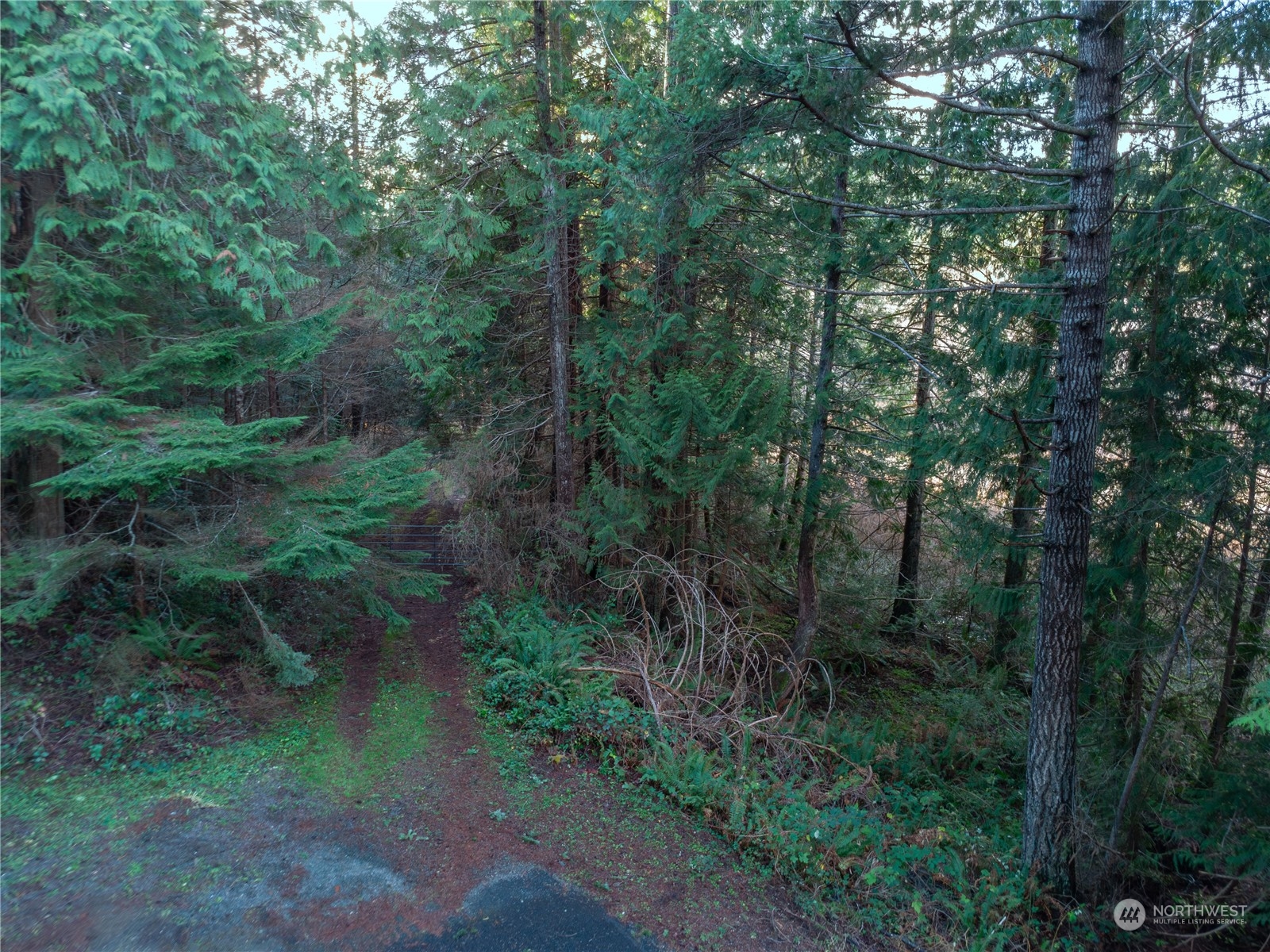0 Trout Lane