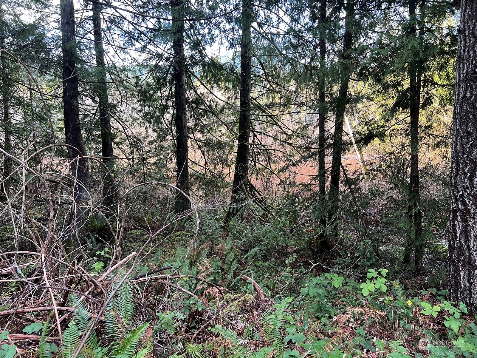 0 Trout Lane