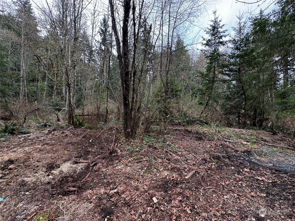 Photo of 218 xx NE 175th Street Street, Woodinville, WA 98077 (MLS # 2210808)