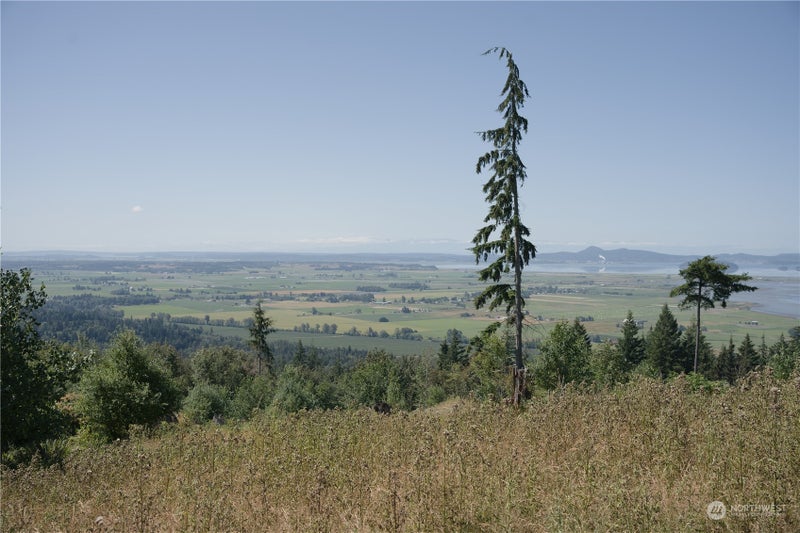 3291 Blanchard Knob Trail